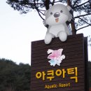 아쿠아틱 리조트 이미지