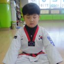 경희대힘찬태권도장 이미지