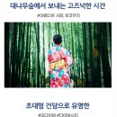 전일관광 이미지