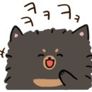 으르렁애견카페 이미지