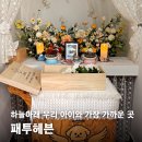 투헤븐 | 새벽에 터진 폐수종, 원주 강아지 화장 장례 직접 경험해본 패투헤븐 솔직한 후기