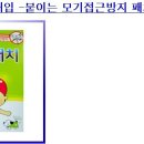 바우와우 이미지
