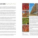 월간 플로라 2026년 1월호 대왕참나무 잎처럼 이미지
