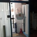 몽글몽글 펫 이미지