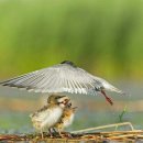 부천자연생태공원 이미지