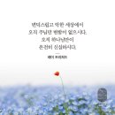 베드로전서 5:8 – 5:14 마귀를 대적하고 은혜 안에 굳게 서는 삶/이미지첨부 이미지