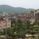 노블하우스 이미지