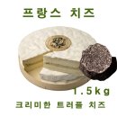 비비아나 코퍼레이션