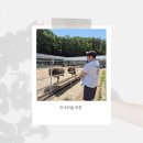 가자고을농장1 | 타조는 왜 못날지? 아이의 질문으로 시작한 특별한 하루🍀 우농타조농장 타조마을 방문