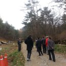 성심부동산
