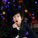 정일진 Daum카페