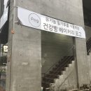 포그(pog) 이미지