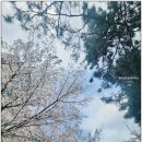 신동광공인중개사사무소 이미지