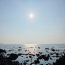 미영이네식당 유채꽃밭, 산방산 초가집, 원앤온리, 송악산 둘레길, <b>미영이네</b> / Day 4. 태광<b>식당</b>, 장인더, 그랜드 섬오름