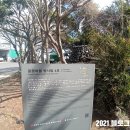 골왓마을방사탑 3호 이미지