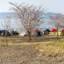 여수연안여객터미널 이미지