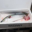 제주당구클럽 이미지