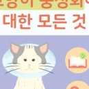 함께하는동물병원 이미지