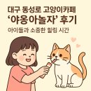 야옹아 놀자 | 대구 동성로 고양이카페 &#39;야옹아놀자&#39; 방문 후기