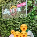 새롬키즈어린이집 이미지