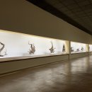 조록나무 뿌리 형상물 이미지