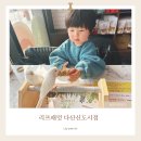 남양주 앵무새 체험 &amp; 분양 카페 ‘리프패럿 다산신도시점’ 후기