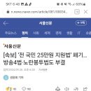 [속보] ‘전 국민 25만원 지원법’ 폐기…방송4법·노란봉투법도 부결 이미지