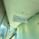 피플스교회 | 용인 수지체형교정 조셉테라핏 | 주방일 오래 하면 허리 아픈 이유 드디어 해결