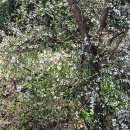 가교2리마을회관 이미지