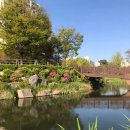 서천레스피아공원 | 서천레스피아, 자연과 물의 조화를 느낄 수 있는 최고의 휴식처!