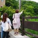 금강초롱황토펜션 | 인제 자작나무숲 펜션 풍경이 너무 좋은 금강초롱황토펜션