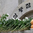 삼풍 이미지