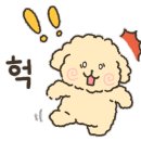 표나개 반려애견 미용실 이미지