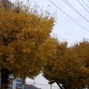 행복센타