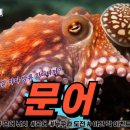 아산락실내바다낚시터 이미지