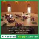 홀론푸드