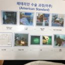 페테리안동물병원 이미지