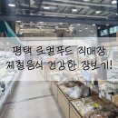 (재)평택시로컬푸드재단 로컬푸드 직매장 이충점 | 평택 로컬푸드 직매장: 건강한 장보기부터 제철 농산물까지!