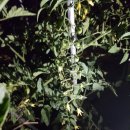 삼구농장 이미지