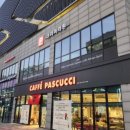 파스쿠찌세종