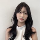 헤어에스티미오 이미지