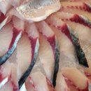 광명수산 이미지