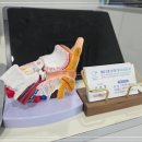 잠실보청기 이미지