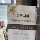 코코시아2 이미지