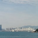 5월 연휴 1박2일 2일차&gt;부산여행[해변열차][동백공원해변산책로] [깡통시장,자갈치시장,국제거리...