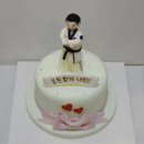 감삼태권도 이미지