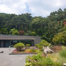 포레스트리솜 이미지