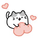 윔짐 이미지