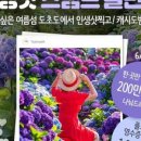 신안헬스케어 이미지