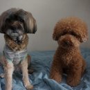 메이의산책 이미지